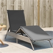 vidaXL Poly Rattan 78.7x23.2x33.5in Sun Lounger in Light Gray
