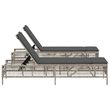 vidaXL PE Rattan Sun Lounger Set (3 pcs) in Light Gray and Dark Gray