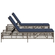 vidaXL Patio PE Rattan Steel Standard Sun Lounger in Gray