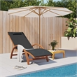 vidaXL Textilene Standard Foldable Sun Lounger in Gray