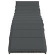 vidaXL PE Rattan and Powder-Coated Steel Standard Sun Lounger in Gray (Set of 2)