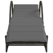 vidaXL PE Rattan Sun Lounger 23.6 x 78.3 x 16.5 in in Gray