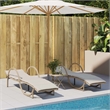 vidaXL PE Rattan Medium Sun Lounger in Beige  (Set of 2)
