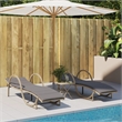 vidaXL PE Rattan Standard Sun Lounger in Beige  (Set of 2)