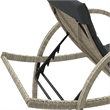 vidaXL Standard Sun Lounger in Light Gray  (Set of 2)