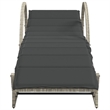 vidaXL Standard Sun Lounger in Light Gray  (Set of 2)