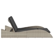 vidaXL Patio PE Rattan Steel Double Sun Lounger in Light Gray
