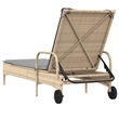 vidaXL Sun Lounger in Beige and Light Gray