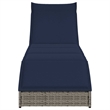 vidaXL PE Rattan Folding Standard Foldable Sun Lounger in Gray