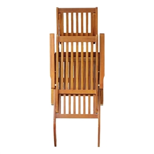 vidaXL Acacia Hardwood Standard Foldable Sun Lounger in Brown