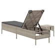 vidaXL Poly Rattan Large Sun Lounger Set (2 pcs) in Light Gray