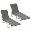 vidaXL Powder-Coated Steel Sunlounger Set of 2 Standard in Gray