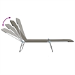 vidaXL Powder-Coated Steel Sunlounger Set of 2 Standard in Gray
