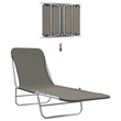 vidaXL Powder-Coated Steel Sunlounger Set of 2 Standard in Gray