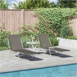 vidaXL Powder-Coated Steel Sunlounger Set of 2 Standard in Gray