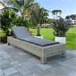vidaXL PE Rattan Sun Lounger Powder-Coated Steel in Gray
