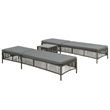 vidaXL PE Rattan & Steel Sunlounger Set of 2 in Gray