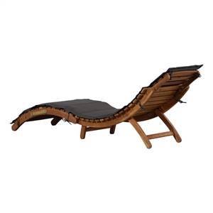 vidaXL Folding Sun Lounger 1-Person 21.65x72.44x25.20 in in Dark Gray