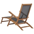 vidaXL Solid Teak Wood Deck Chair in Black