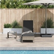 vidaXL Sun Lounger in Gray and Dark Gray