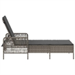vidaXL Sun Lounger in Gray and Dark Gray