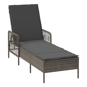 vidaXL Sun Lounger in Gray and Dark Gray