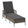 vidaXL Sun Lounger in Gray and Dark Gray