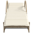 vidaXL Poly Rattan Standard Sun Lounger with Adjustable Armrests in Beige