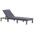 vidaXL PE Rattan & Steel Sun Lounger in Anthracite