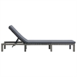 vidaXL PE Rattan & Steel Sun Lounger in Anthracite