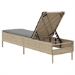 vidaXL Sun Lounger in Beige and Light Gray