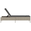 vidaXL Sun Lounger in Light Gray and Dark Gray