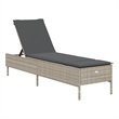 vidaXL Sun Lounger in Light Gray and Dark Gray