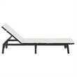 vidaXL PE Rattan Standard Rectangular Sun Lounger in Black