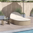 vidaXL Sun Lounger in Black and Cream White