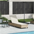 vidaXL Poly Rattan Sun Lounger w/ Cushions in Beige