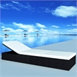 vidaXL Poly Rattan Sun Lounger in Black
