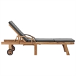 vidaXL Sun Lounger in Dark Gray (Set of 2)