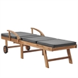 vidaXL Sun Lounger in Dark Gray (Set of 2)