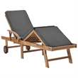 vidaXL Sun Lounger in Dark Gray (Set of 2)