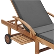 vidaXL Sun Lounger in Dark Gray (Set of 2)