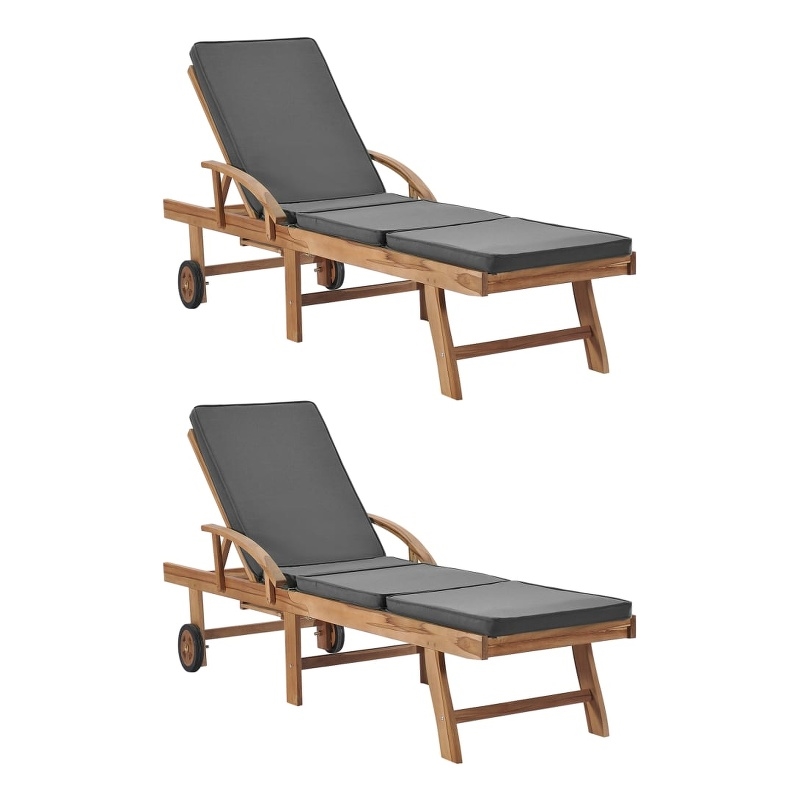 vidaXL Sun Lounger in Dark Gray (Set of 2)