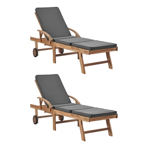 vidaXL Sun Lounger in Dark Gray (Set of 2)