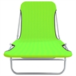 vidaXL Powder-Coated Steel  Sun Lounger in Green (Set of 2)