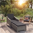 vidaXL Sun Lounger in Dark Gray/Gray