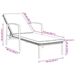 vidaXL PE Rattan Sun Lounger and Table in Brown (Set of 3)