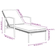 vidaXL Sun Lounger and Table in Gray (Set of 3)