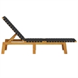 vidaXL Sun Lounger in Black/Brown (Set of 2)