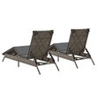 vidaXL Sun Lounger in Gray