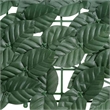 vidaXL 78.7x59.1 in Fabric Screen in Dark Green